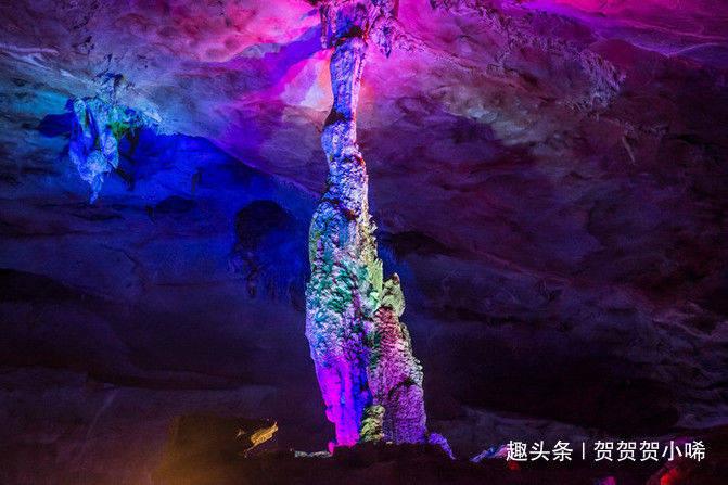小猫钓鱼正版下载中文版