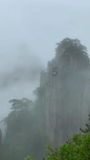 脑洞小老弟无实名认证