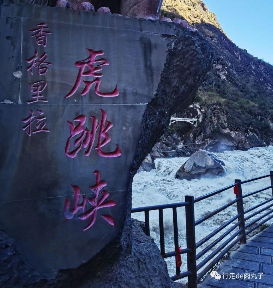 88影视