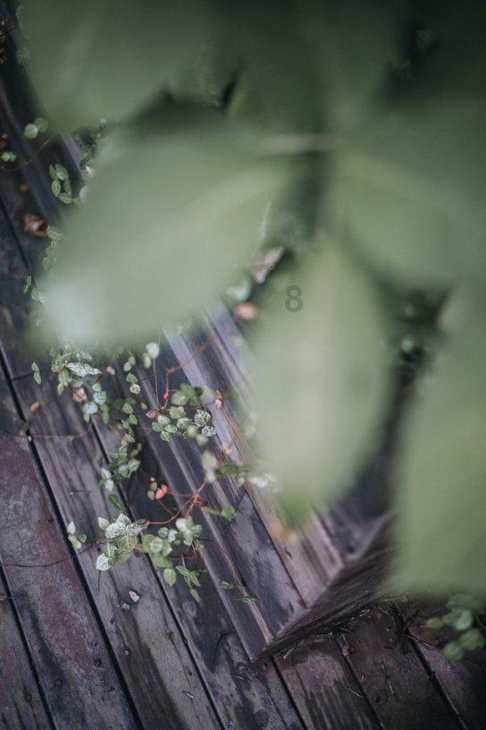 植物神经紊乱与阳痿:如何区分两者?