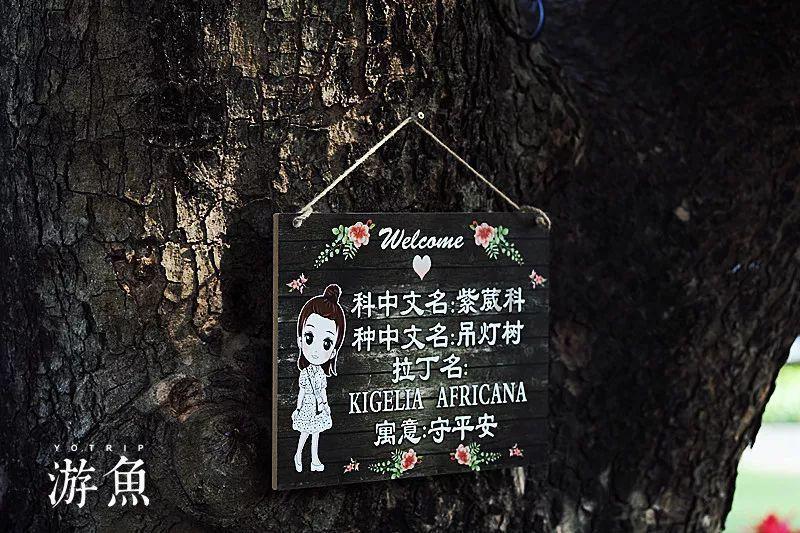 全民烧脑3去广告版