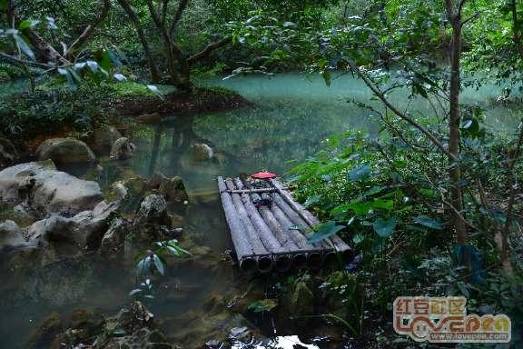 虫虫助手下载