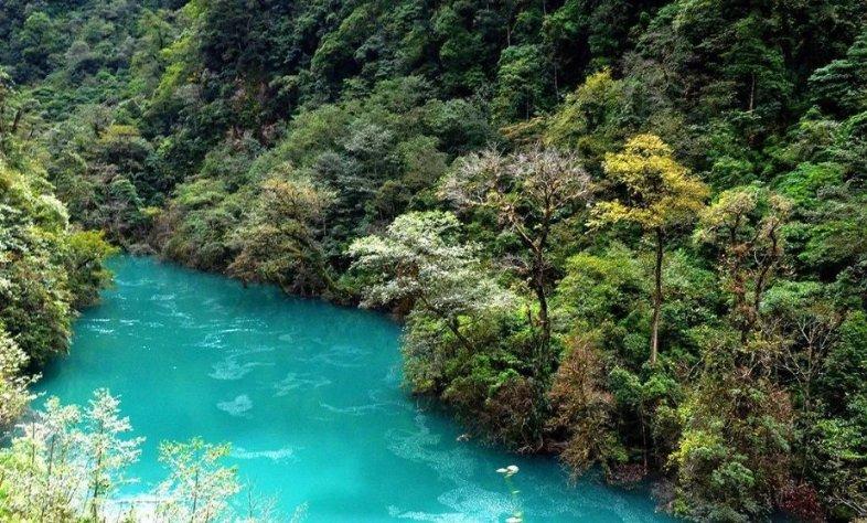 动物帮帮忙保卫家园