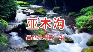 探索电饭煲断电一般是断什么地方?最新讨论 - 红迪网
