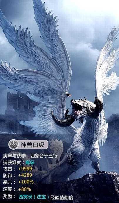 篮球全明星赛2