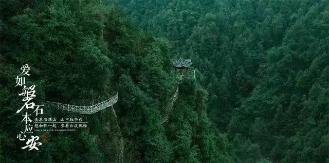 《三国志·战棋版》10个S5还非常有用的非核心盘点，强度堪比核心