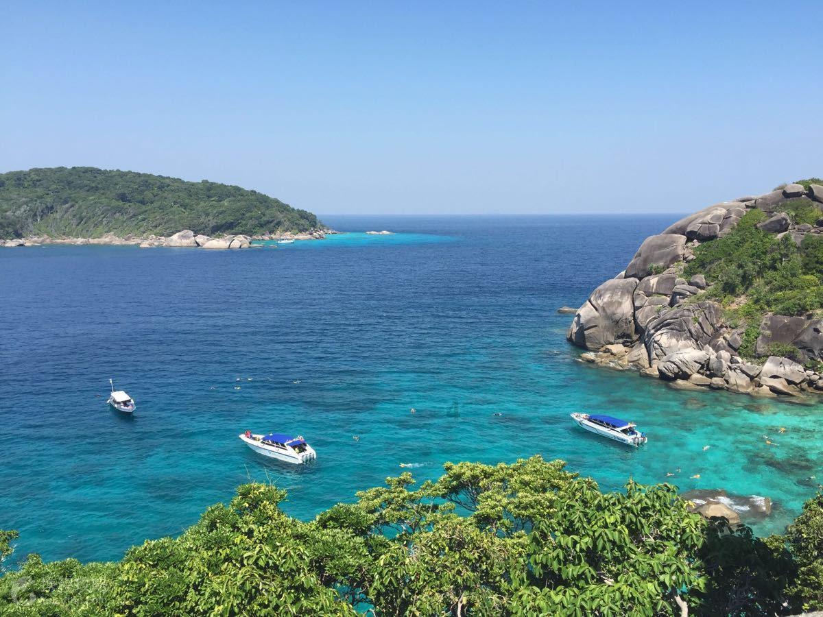 阴暗森林