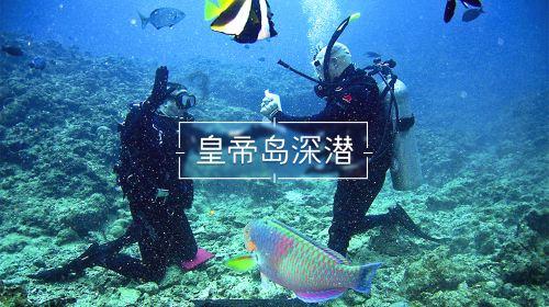小僵尸射飞鸟