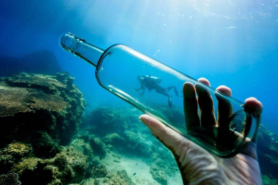 沉浸式体验山水城林，南京玄武湖太平门赏荷栈道正式开放