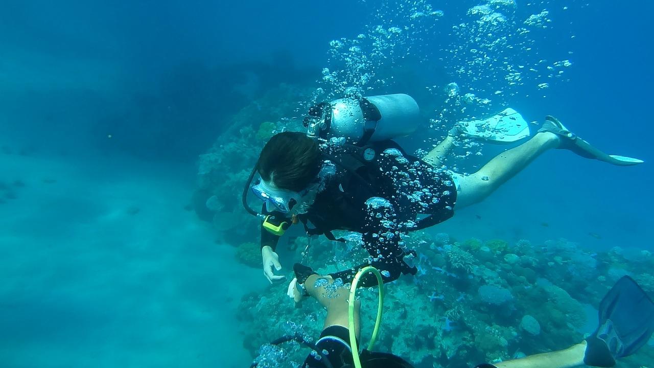 海底世界填颜色4