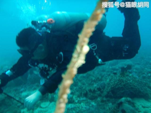 脑洞小老弟无实名认证