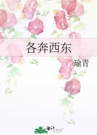 孤岛逃亡2