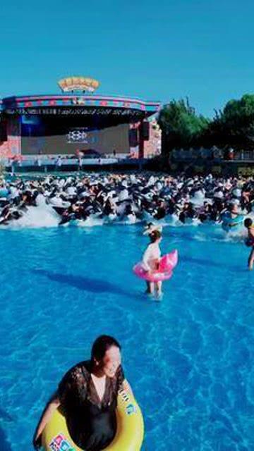 2024年春运重庆天气预报“出炉” 这些时段有雨来扰
