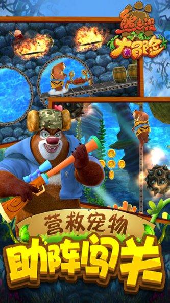 被誉为“大自然的舞者”！国家二级保护动物棕背田鸡现身攀枝花，系当地首次发现