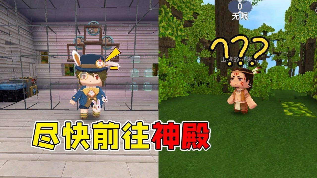 森林的奇迹