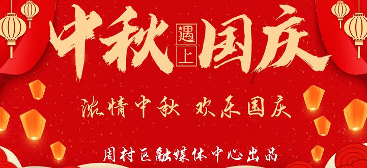 贵州山居|雪润茶园