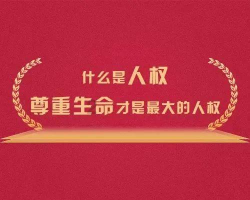 失忆症：猪猡