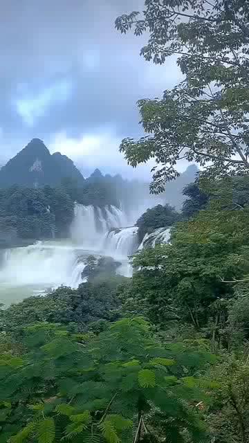 为什么还不是你的菜游戏画面