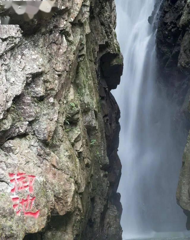 黔南州政协十三届三次会议隆重开幕 唐德智向承强冉博王镇义等到会祝贺 瓦标龙作州政协常委会工作报告
