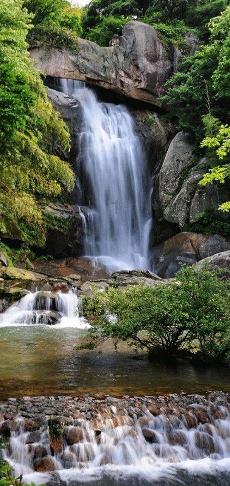 荆芥播种后遇大风怎么办？游戏画面