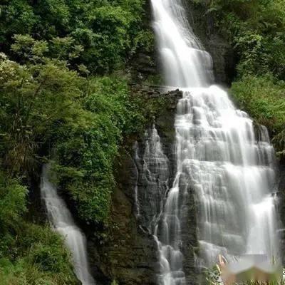 小猫钓鱼游戏龙王版有船