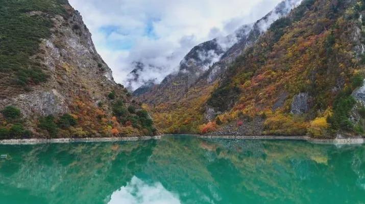 证监会：全面暂停限售股出借，坚决打击绕道减持、套现等行为