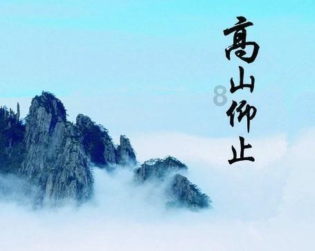 逃离橡子树种植地