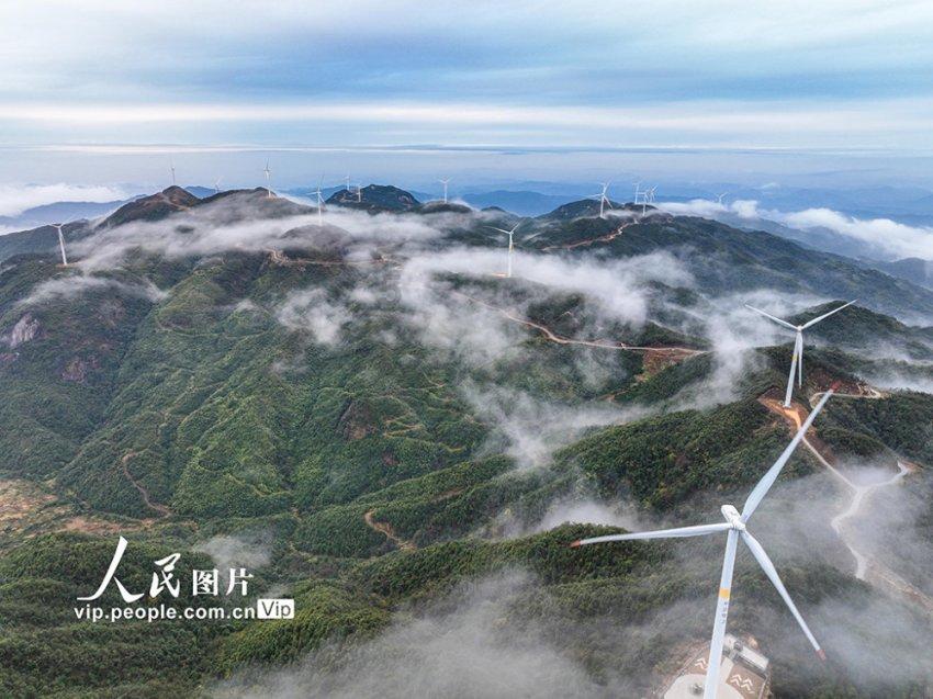 手脚冰冷吃什么好