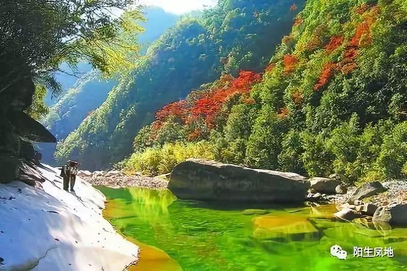 落水狗血战日