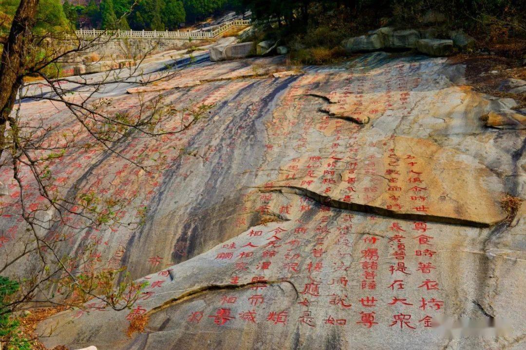 Alector Inc盘中异动 早盘大幅拉升5.44%