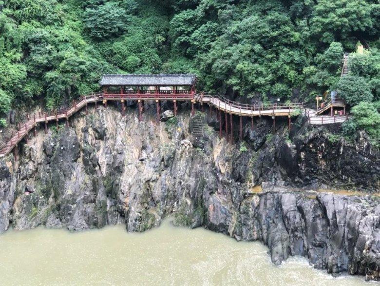 救援卷耳兔