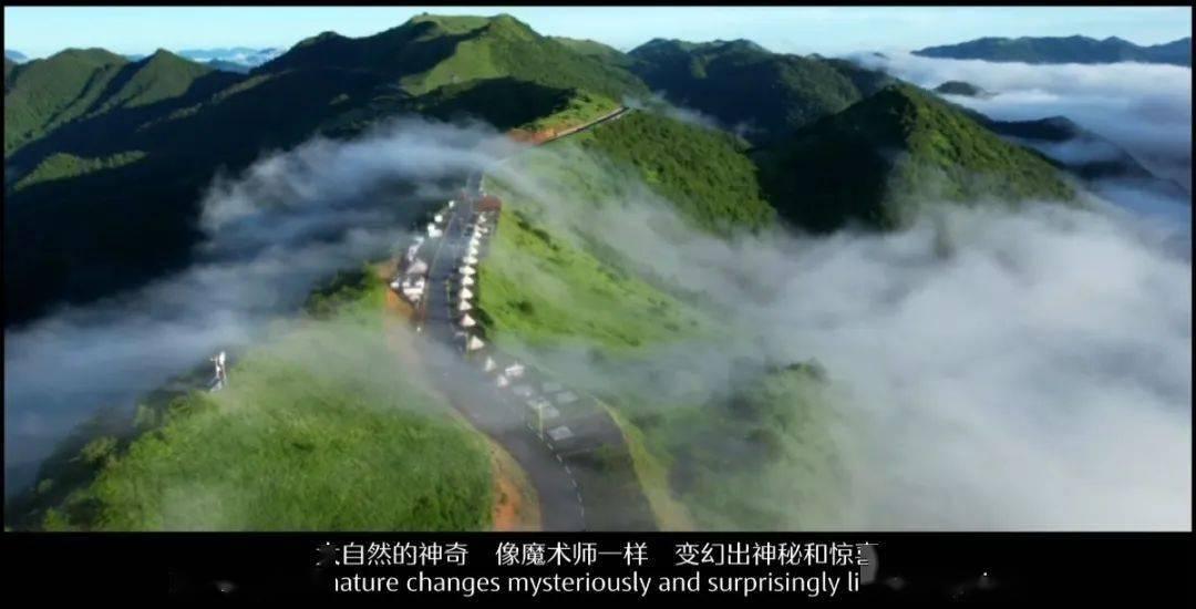 CBA联赛第31轮:张宁打出CBA单场最高得分