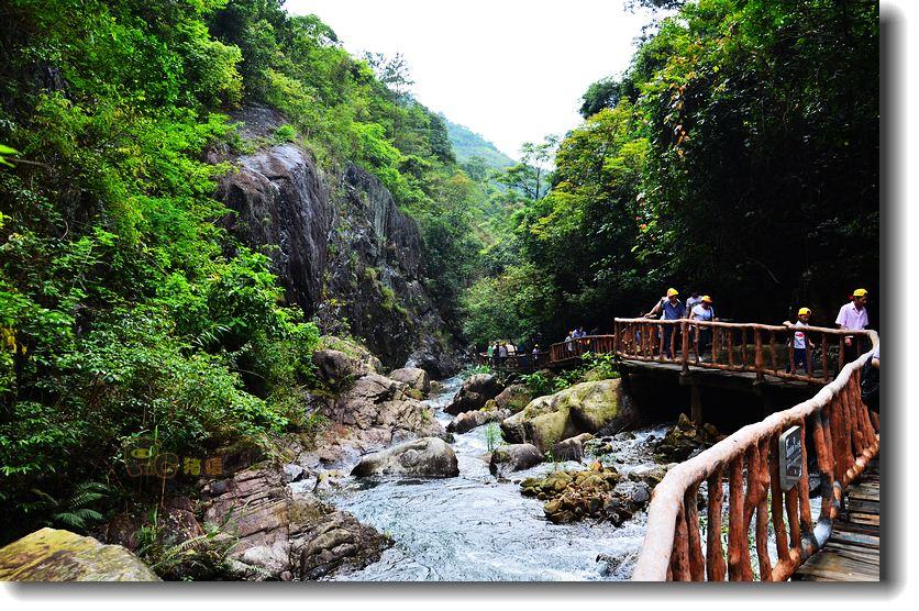 逃出安逸小乡村