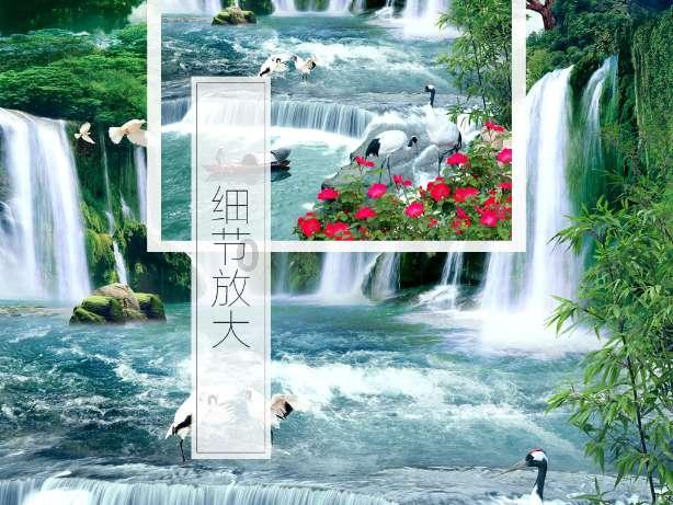 照顾小兔宝宝