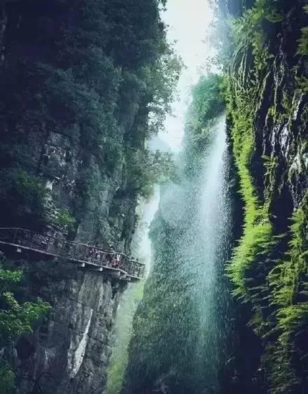家里用除湿机对人有危害吗?五大缺点弊病需谨慎对待!