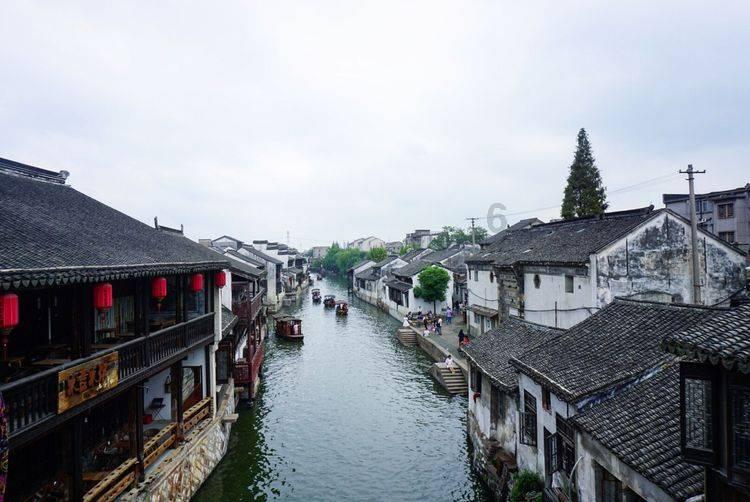 救援大嘴鸟