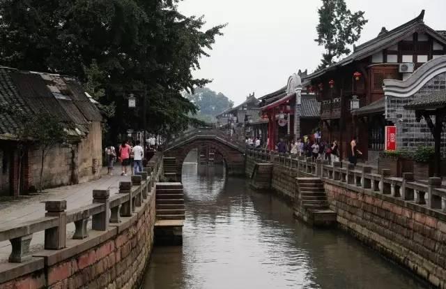 动物帮帮忙保卫家园
