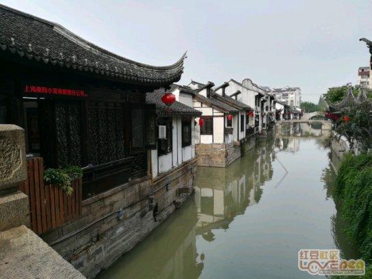 饥饿的松鼠救援