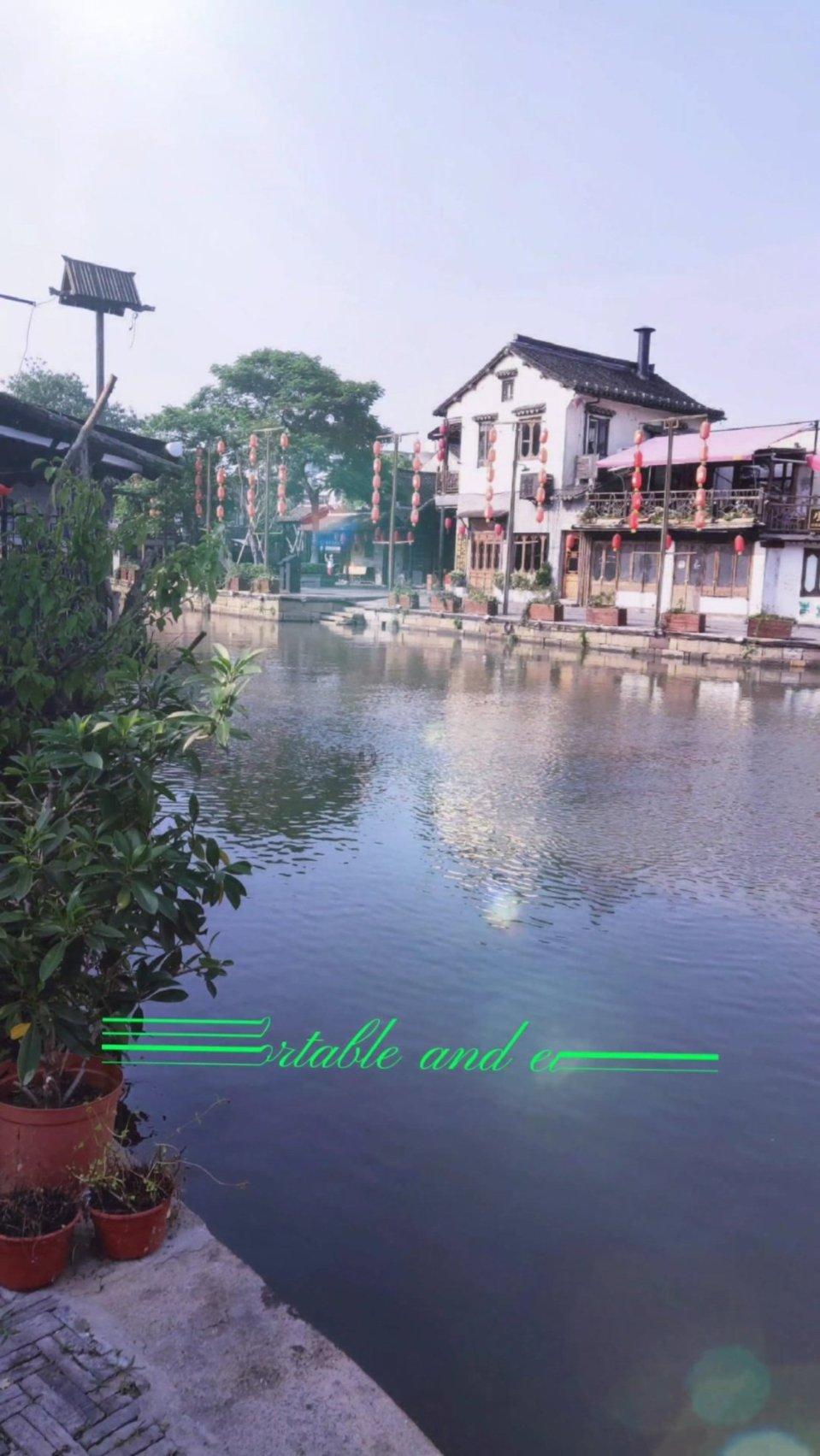 拯救红松鼠