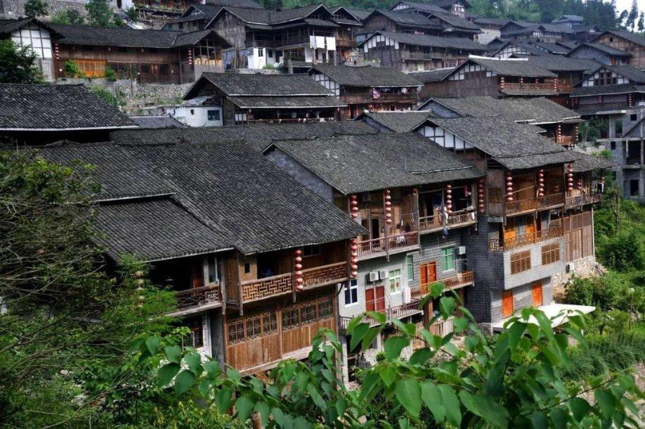 逃离橡子树种植地