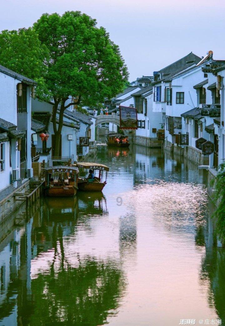 卡通骆驼救援