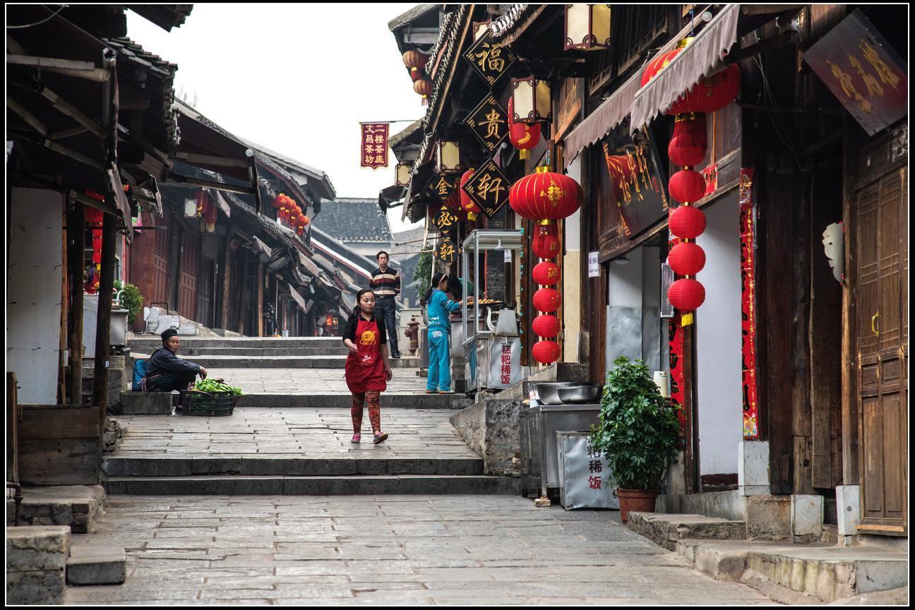 我修的可能是假仙
