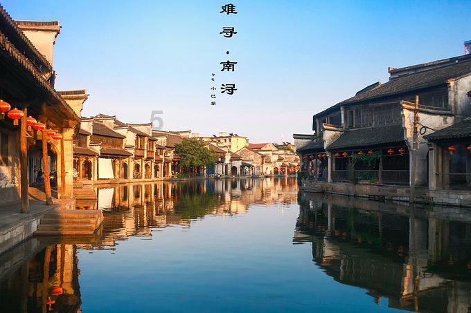 重生之玫瑰豪门