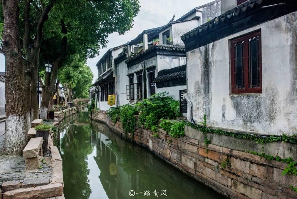 飞天小猪仔