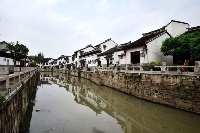 动物帮帮忙保卫家园