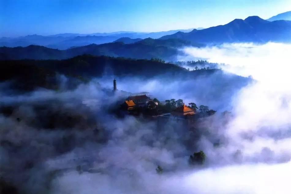救援鹦鹉