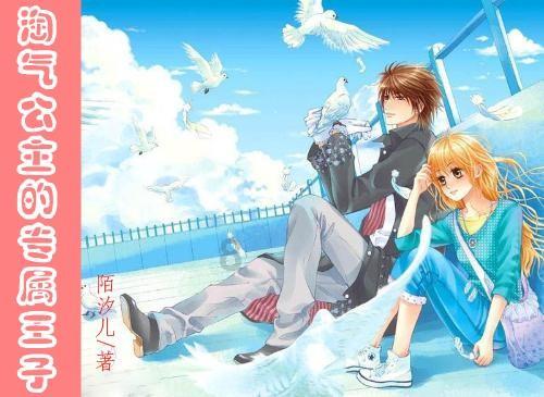 NSK 直线导轨 NSK NH系列 NH-AN-NSK NH202200ANC1PC1(G=20) 江苏勃曼工业控制
